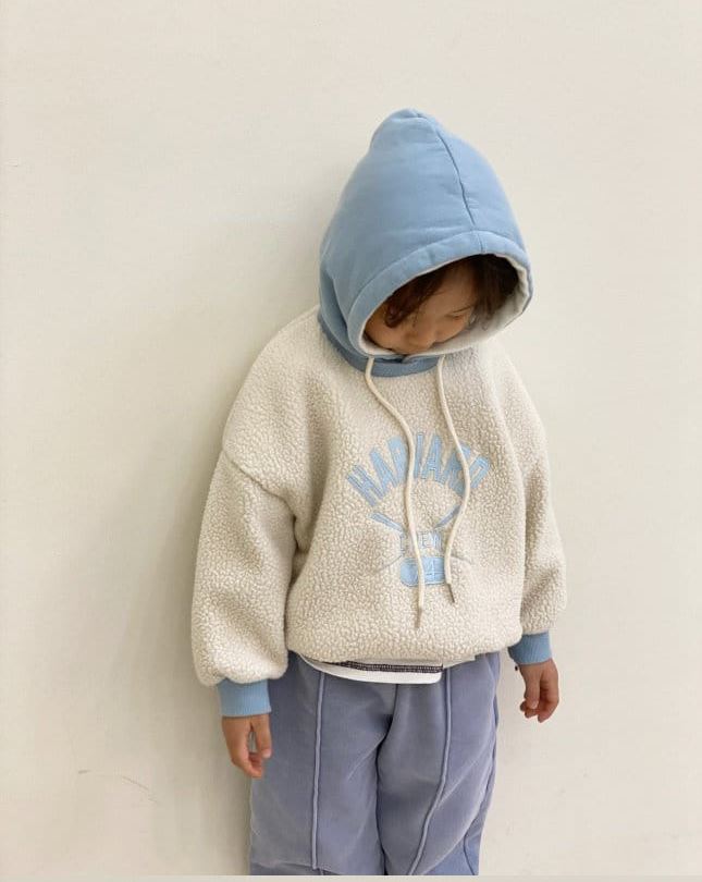 Harvard Fleece Hoody