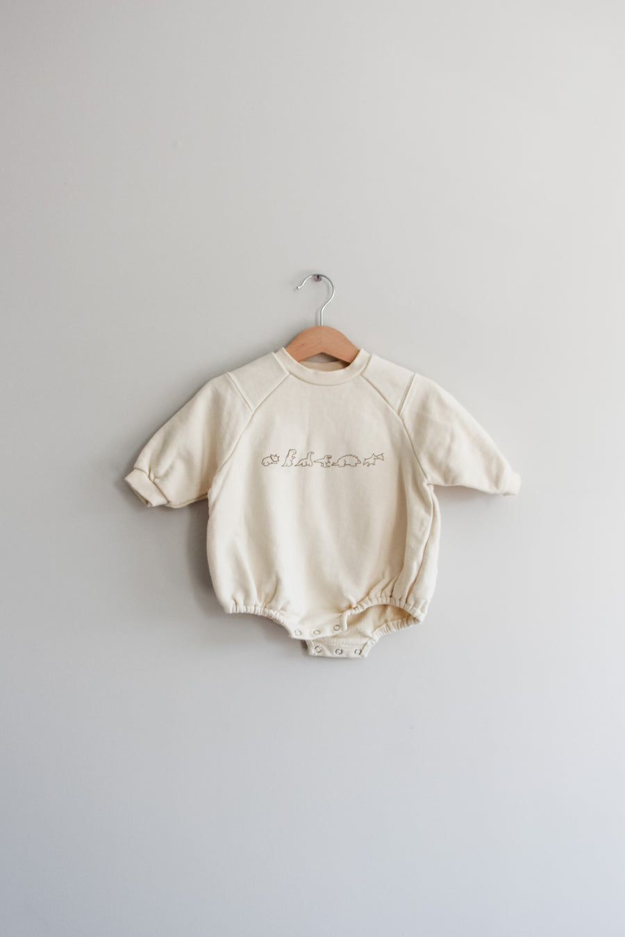 Dinosaur Sweatshirt/Bodysuit